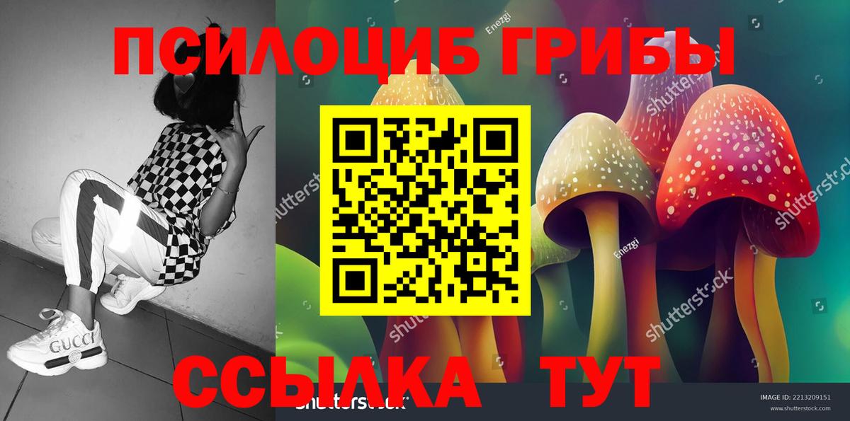 Псилоцибиновые грибы Cubensis Пыть-Ях