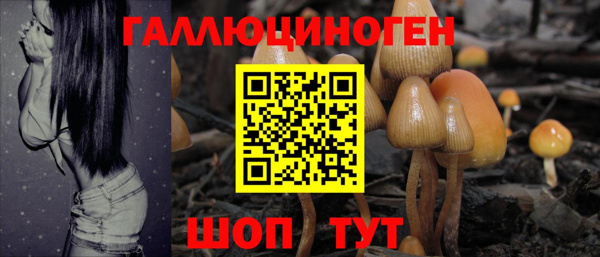 Пыть-Ях  Галлюциногенные грибы Cubensis  Вход с VPN 